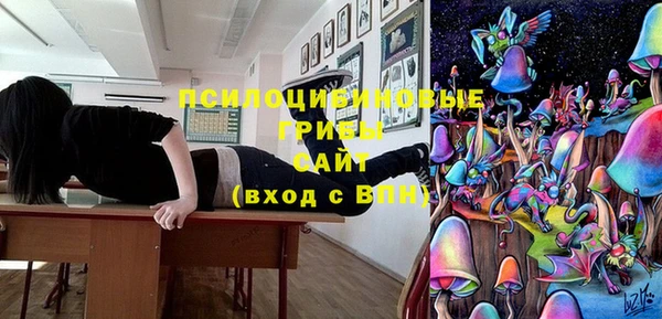 стафф Алзамай