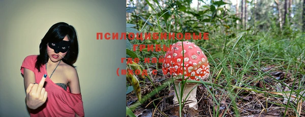 стафф Алзамай
