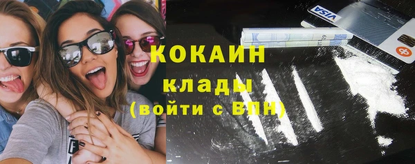 стафф Алзамай