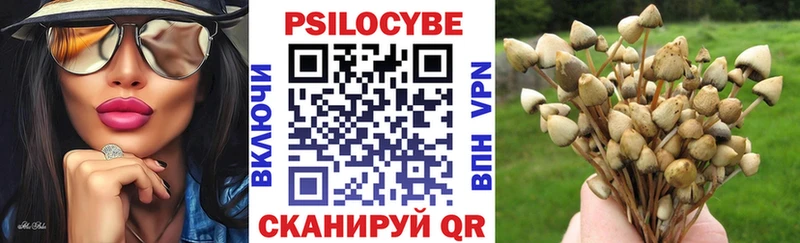 Псилоцибиновые грибы мицелий  Новочебоксарск 