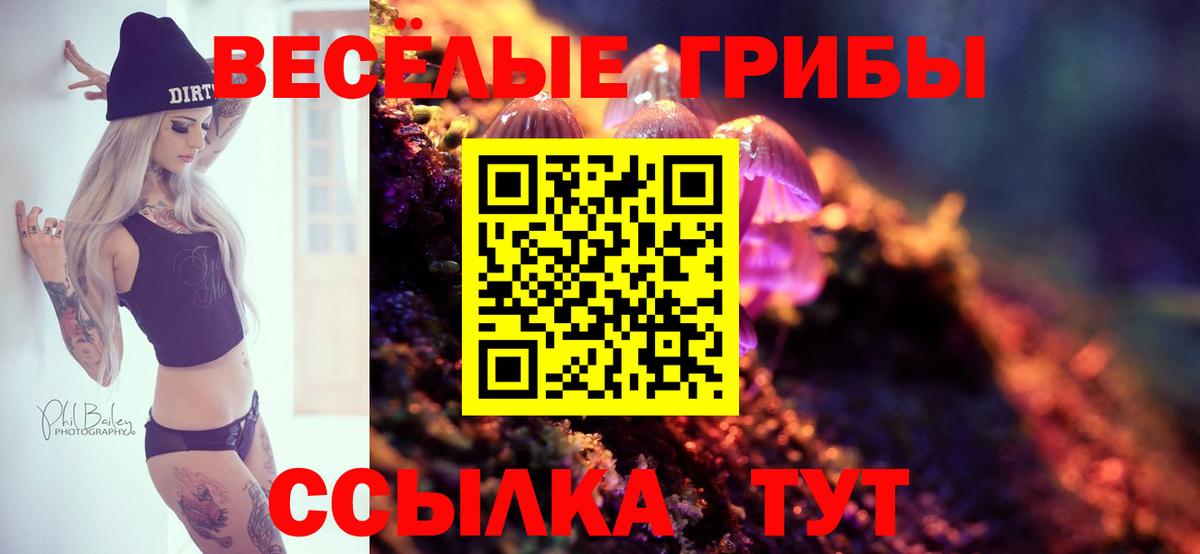 Псилоцибиновые грибы Cubensis  Вход с VPN  купить наркотики сайты  Новочебоксарск  Псилоцибиновые грибы GOLDEN TEACHER 