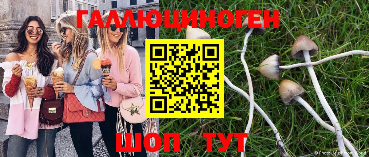Галлюциногенные грибы Magic Shrooms Новочебоксарск